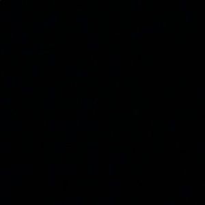 Meet your Posher, Ameen